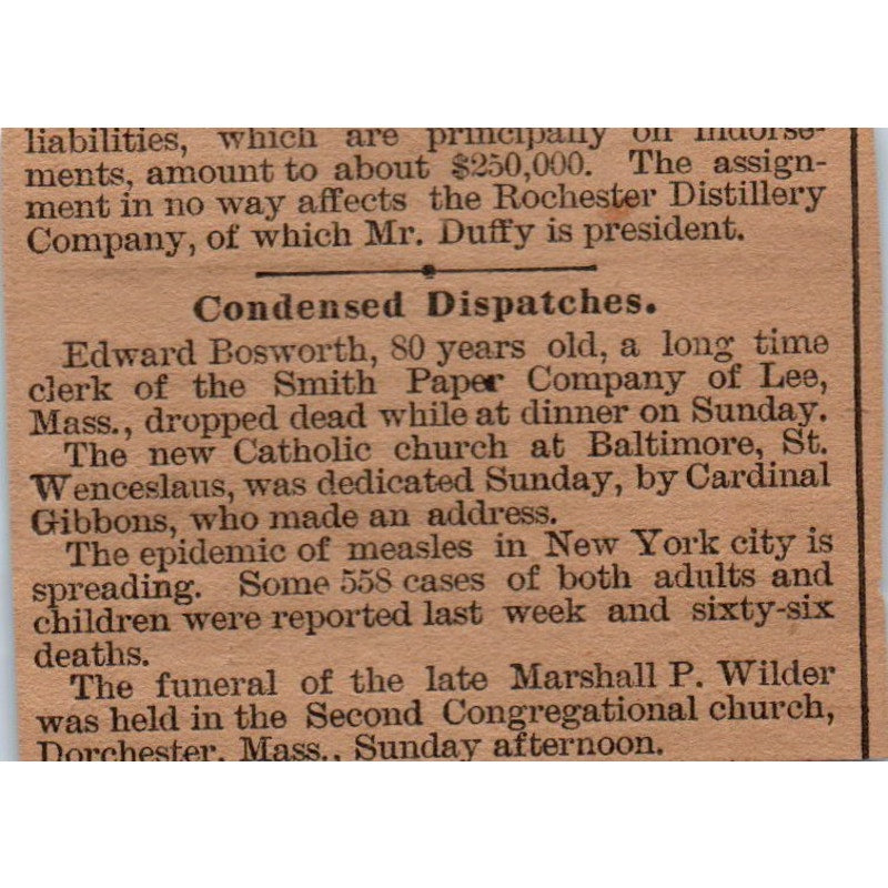 E.W. Parsons Farm Mortgages Hartford 1886 Newspaper Ad AF7-E5