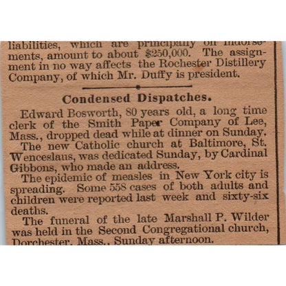 E.W. Parsons Farm Mortgages Hartford 1886 Newspaper Ad AF7-E5