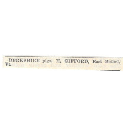 Berkshire Pigs H. Gifford East Bethel VT 1905 Magazine Ad AF1-NES2