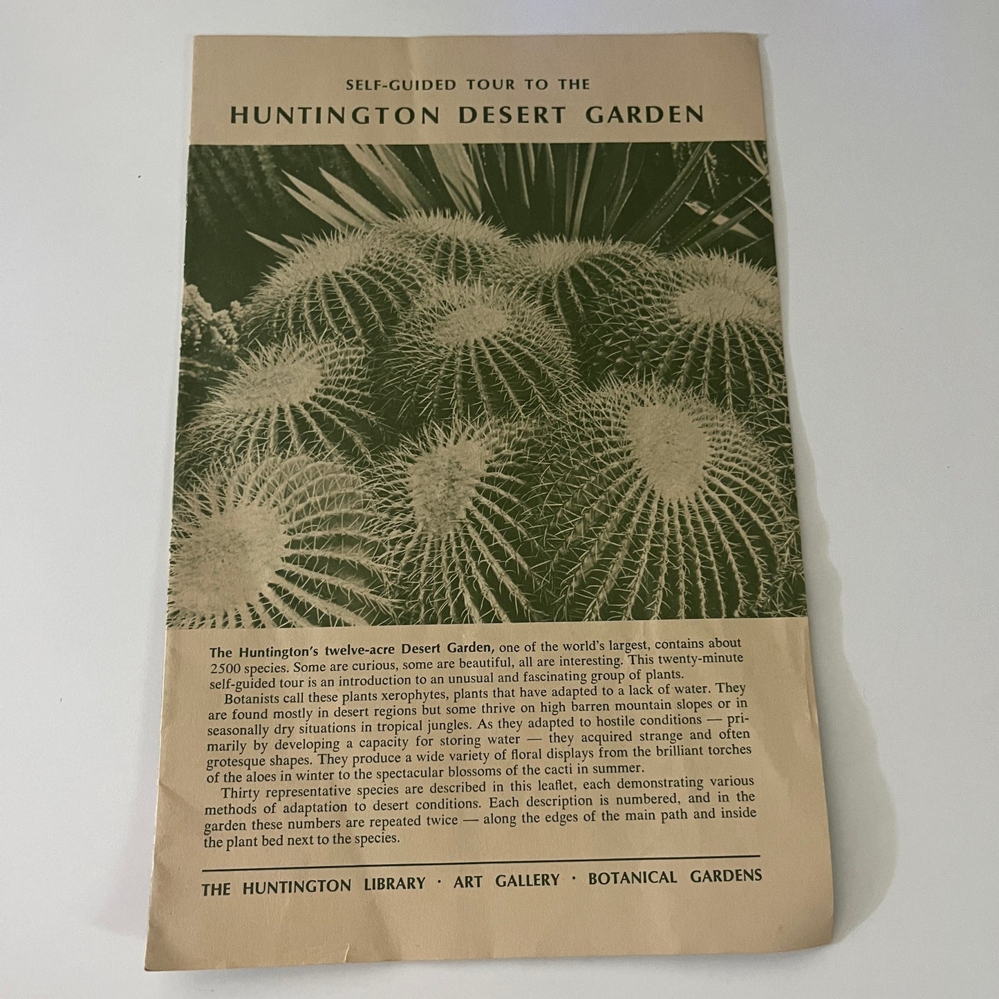 Self-Guided Tour to the Huntington Desert Garden Booklet San Marino CA  L1-1