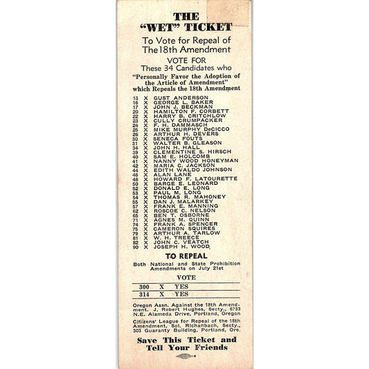 1933 The Wet Ticket - Voting Guide to Repeal 18th Amendment Prohibition AF3-10