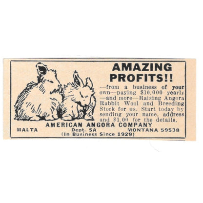 American Angora Company Rabbit Breeding Malta Montana 1977 Ad AF6-S4