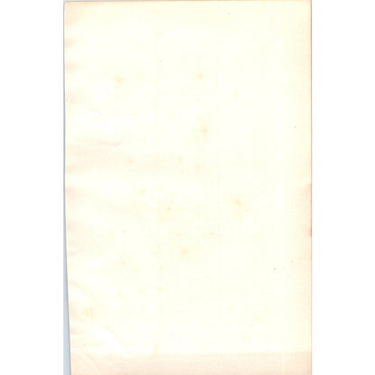 Merlin Bird 1903 Original Color Engraving Plate Print AD8-B3