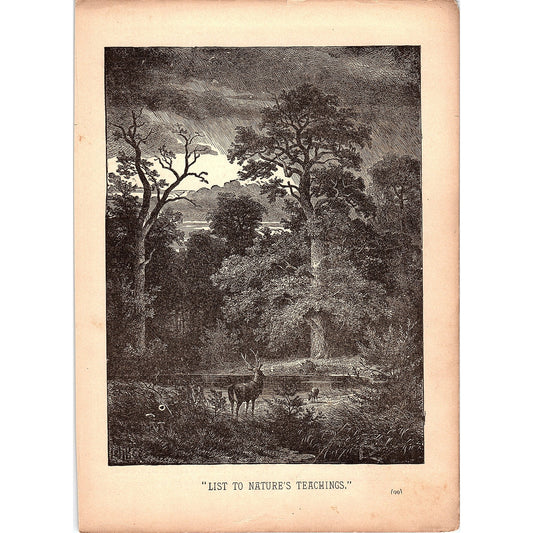 List to Nature's Teachings 1884 Engraving TA5-CJ-1