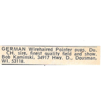 Bob Kaminski German Wirehaired Pointers Dousman WI 1977 Ad AF6-S8
