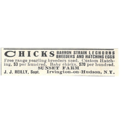 J.J. Reilly Chicks Sunset Farm Irvington-On-Hudson NY 1924 Ad AG3-S8