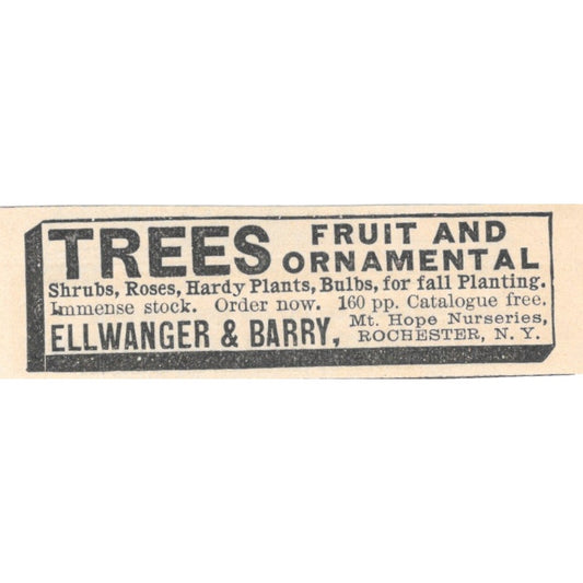 Ellwanger & Barry Ornamental and Fruit Trees Rochester 1892 Magazine Ad AK6-S3