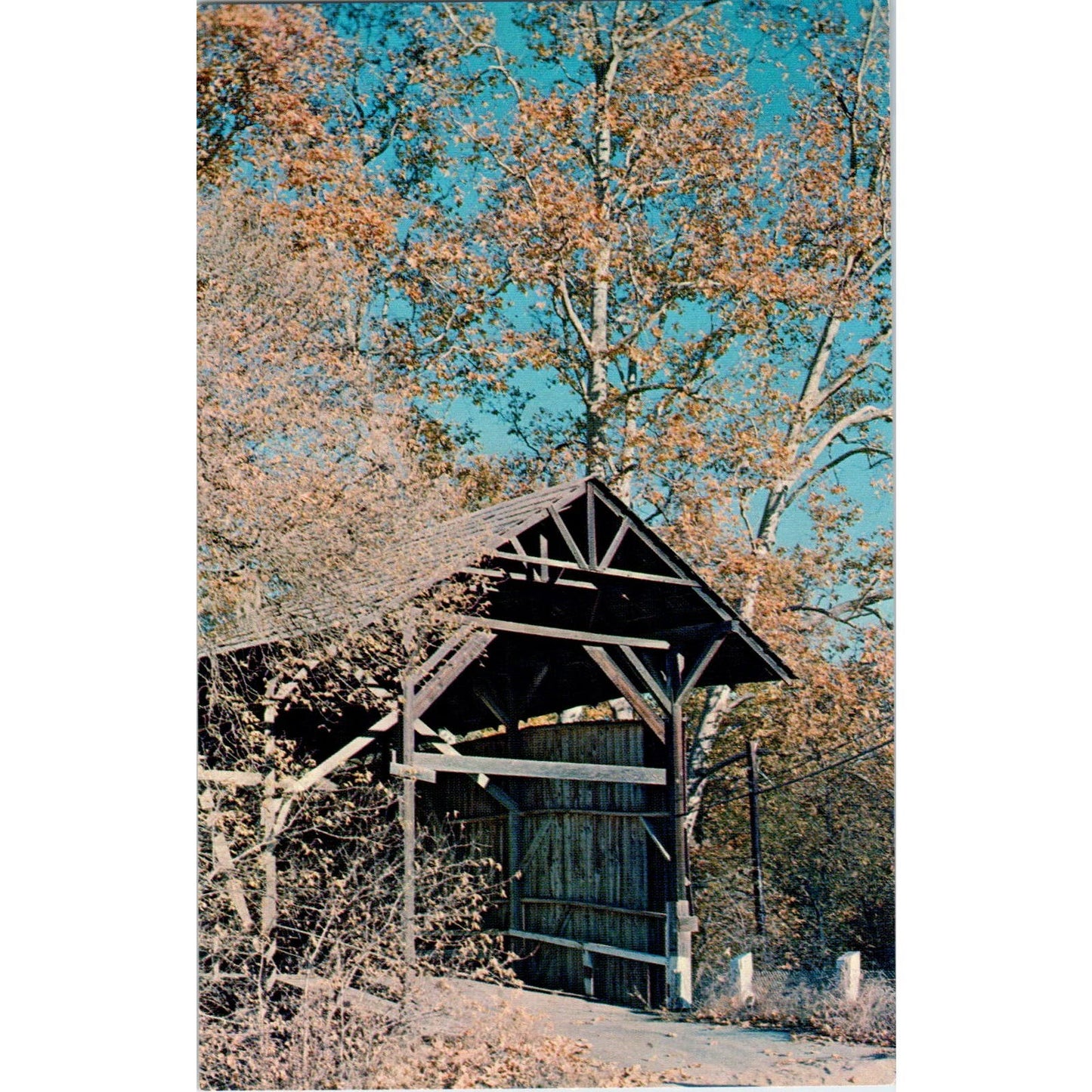 Old Covered Bridge Felton CA San Lorenzo River Vintage Bridge Postcard PD3
