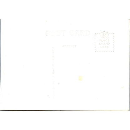 Stalactite Room Crystal Cave Spring Valley Wisconsin Vintage Postcard AB9