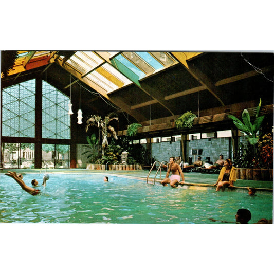 The Curtis Hotel Tropical Pool and Motor Lodge Minneapolis Vintage Postcard PD10