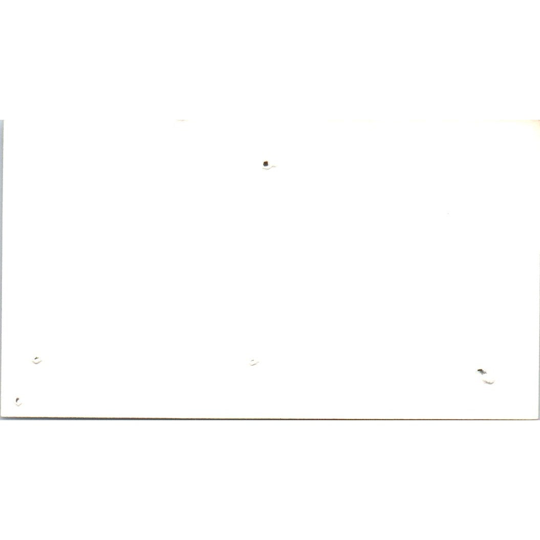 G.P.A. Texas Inc Greyhound Pets of America Houston Vintage Business Card SD8-B15