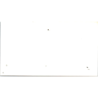 G.P.A. Texas Inc Greyhound Pets of America Houston Vintage Business Card SD8-B15