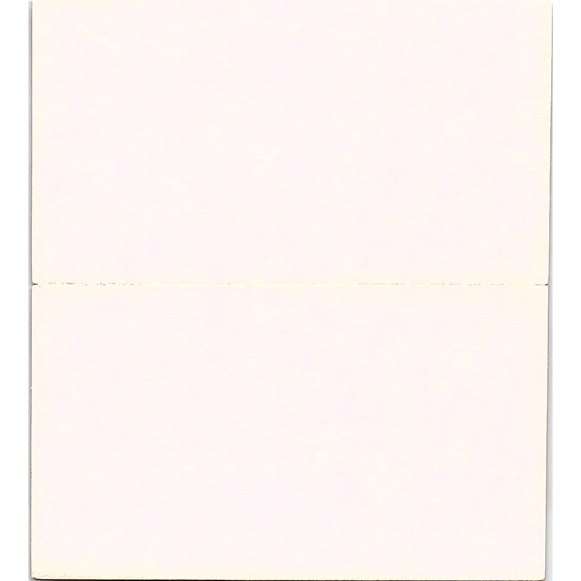 Terry Close Mary Kay Consultant Dominguez Hills CA Vintage Business Card SE3-B14