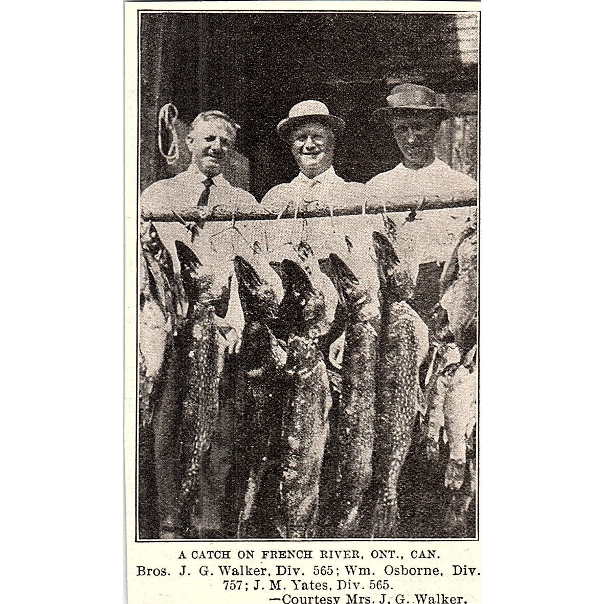 J.G. Walker, Wm Osborn, J.M Yates Fishing on French River Ont 1914 Photo AF3-Q4