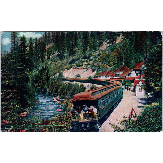 Shasta Springs California Southern Pacific Shasta Route Antique Postcard AF2-A4