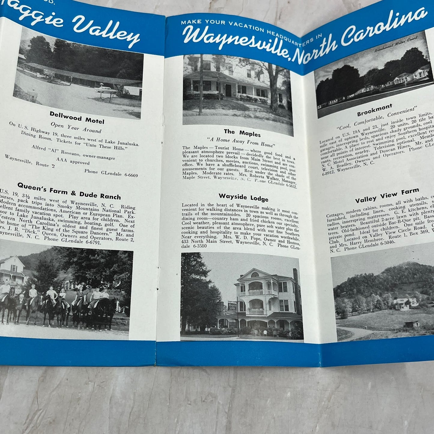 1950s Waynesville Area North Carolina Smoky Mountains Map Brochure TG8-Z