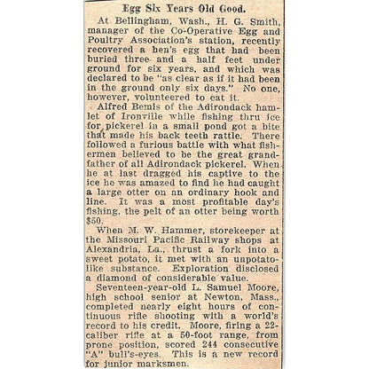 Six Year Old Egg Found Good - H.G. Smith Bellingham WA 1926 Article AG3-M2