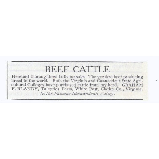 Beef Cattle F. Blandy Tuleyries Farm White Post VA 1913 Magazine Advert AE7-N8