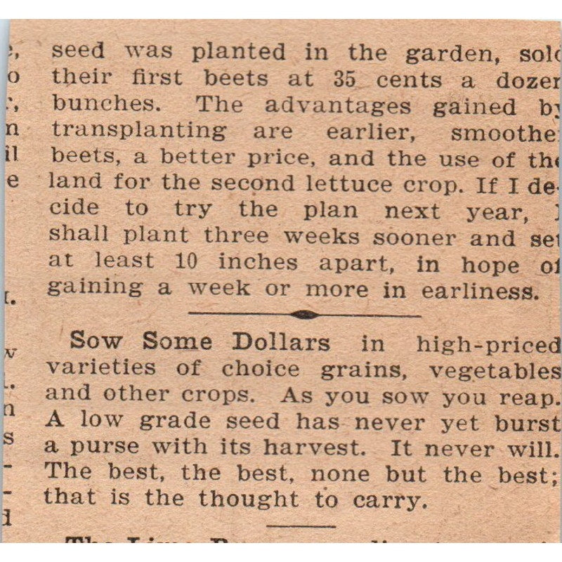 John A. Salzer Seed Co National Oats La Crosse WI 1905 Magazine Ad AF1-NH3