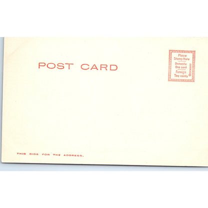 c1905 Business Block Belmont MA Antique Unused Postcard PC7