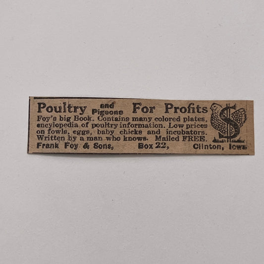 Frank Foy & Sons Poultry for Profits Clinton Iowa 1926 Ad AG3-S1