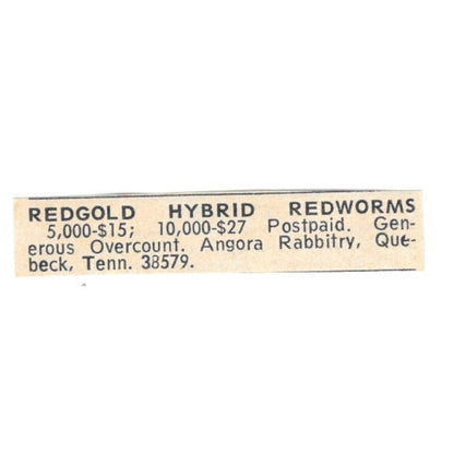 Redgold Hybrid Redworms Angora Rabbitry Quebeck TN 1977 Ad AF6-S5