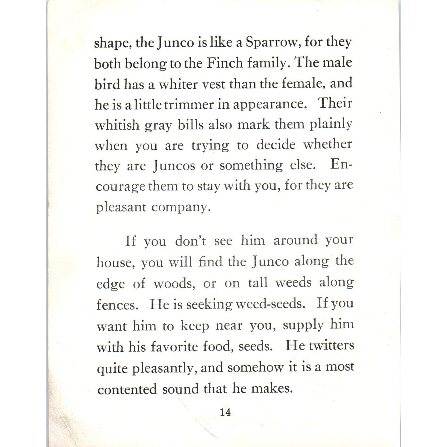 Junco Male & Female 4.5x.6.25" Allan Brooks 1934 Bird Book Painting Print AF1-BB