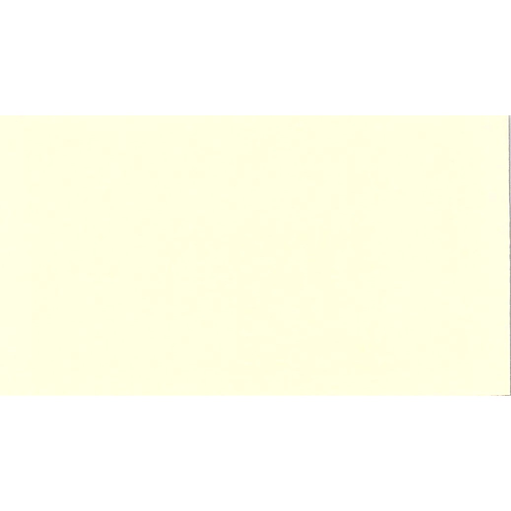 Chad Neff Southwest Artist San Marcos TX Vintage Business Card SE3-B11