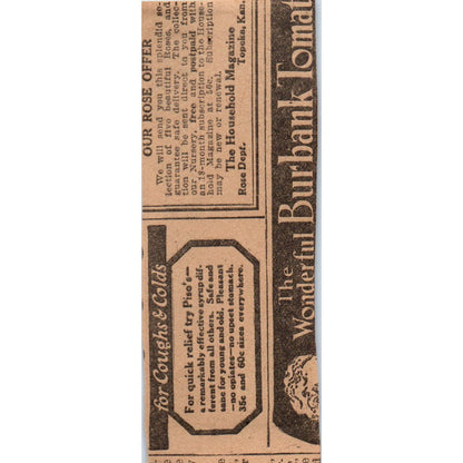 Ford Sedan Giveaway Ford Wilson Chicago 1923 Magazine Ad Clip AE1-3