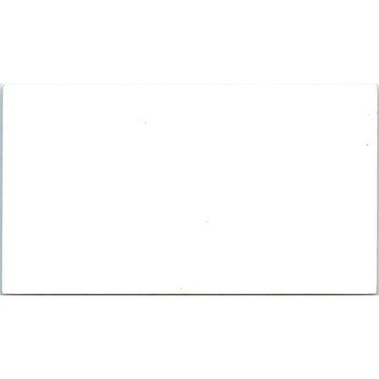 Schwaab Stamp Company Houston TX Vintage Business Card SE3-B5