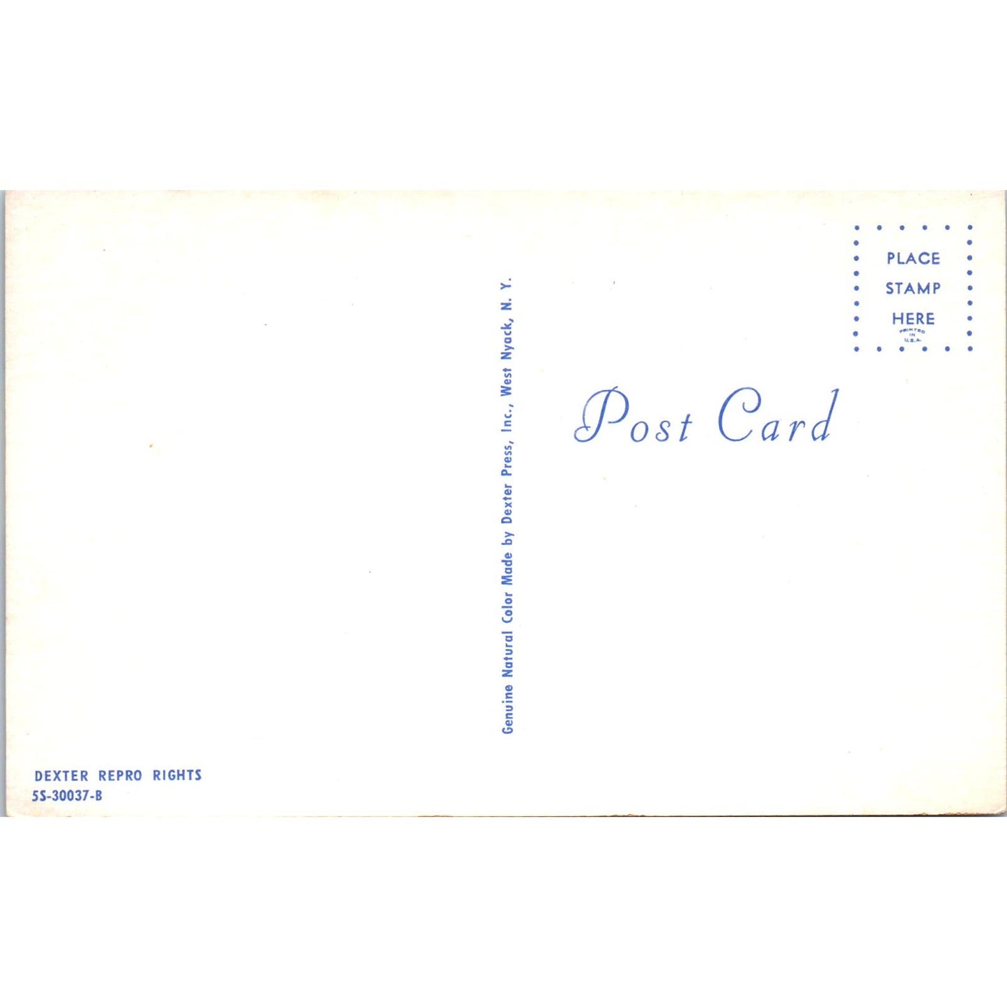 Reading PA Summer and Fall Nature Scene Vintage Postcard PD1