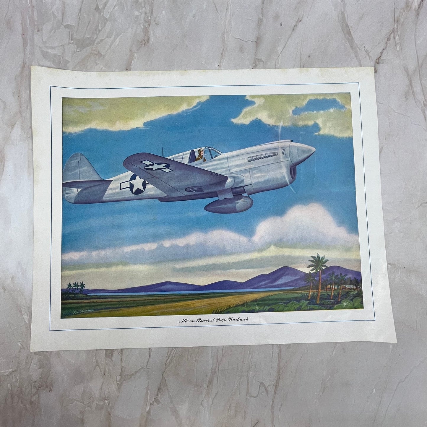 Allison Powered P-10 Warhawk Vintage Print 10.5x13 FL6-4