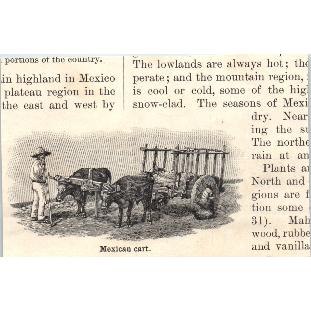 Mexico City Marketplace 1901 Engraving AF2-O1