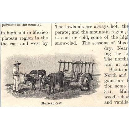 Mexico City Marketplace 1901 Engraving AF2-O1