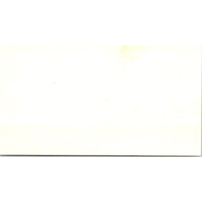 The Orange Duck Art Lauren & Larry Lewis Nevada City Business Card SD8-B19