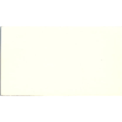 Michael Miehe WU Data Services Company Houston TX Vintage Business Card SD9-B2