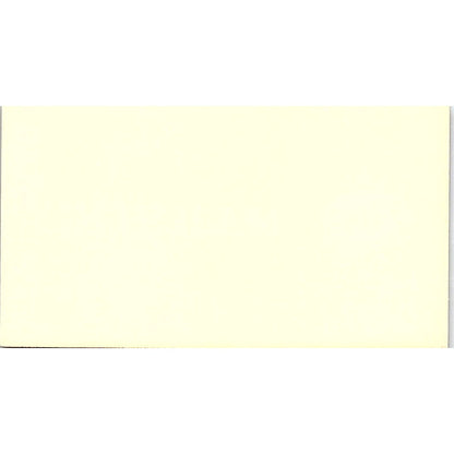 Ruggiero's Family Place Pat & Dom Ruggiero Houston TX Business Card SSB4-B13