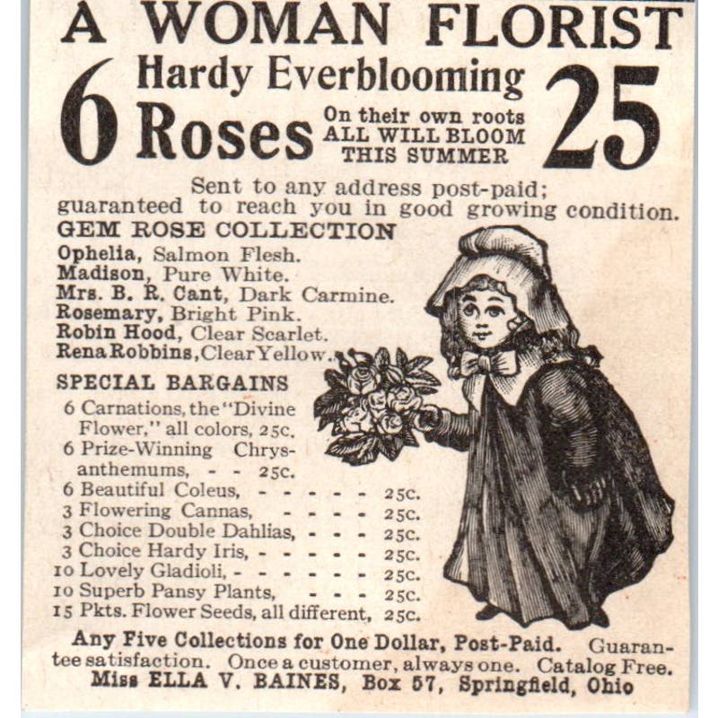 Hardy Roses Miss Ella V. Baines Springfield Ohio 1918 Magazine Ad AF1-SS2