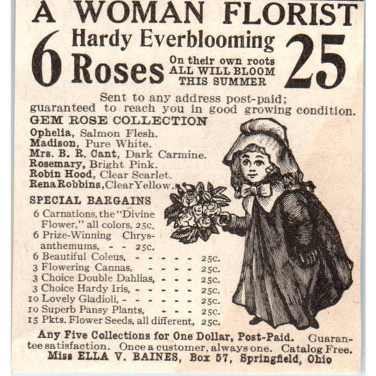 Hardy Roses Miss Ella V. Baines Springfield Ohio 1918 Magazine Ad AF1-SS2