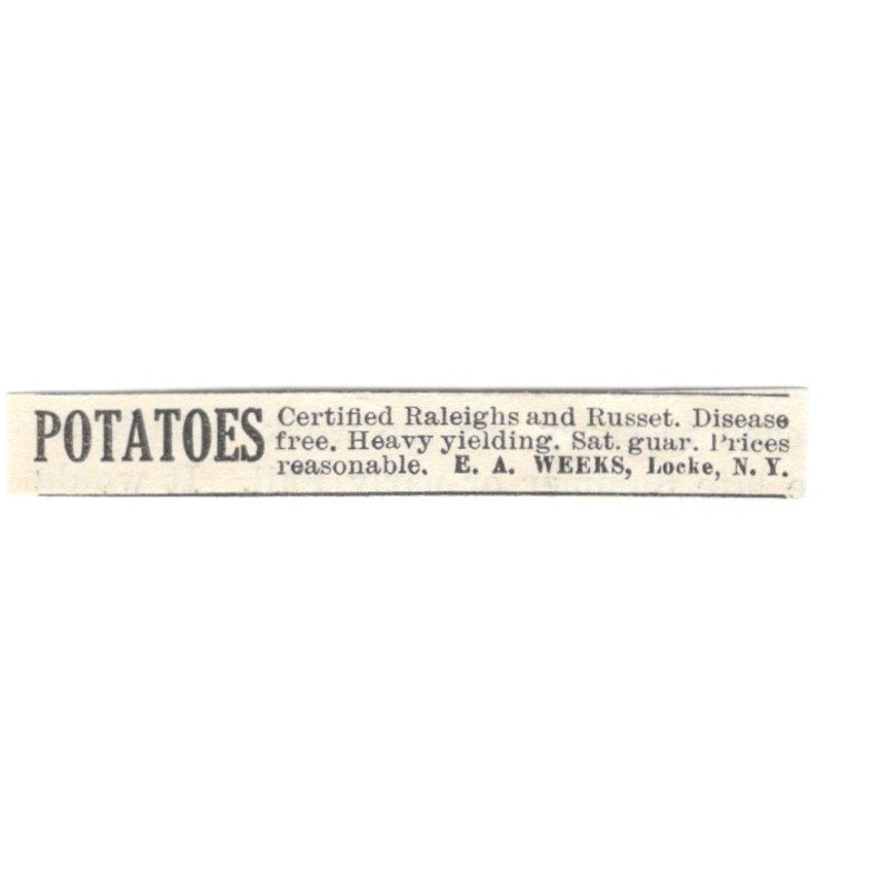E.A. Weeks Potatoes Locke NY 1924 Ad AG3-S6