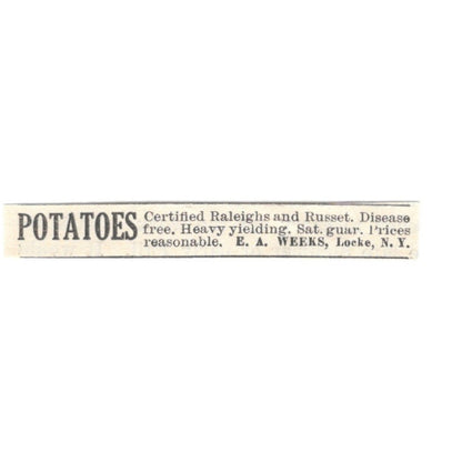 E.A. Weeks Potatoes Locke NY 1924 Ad AG3-S6