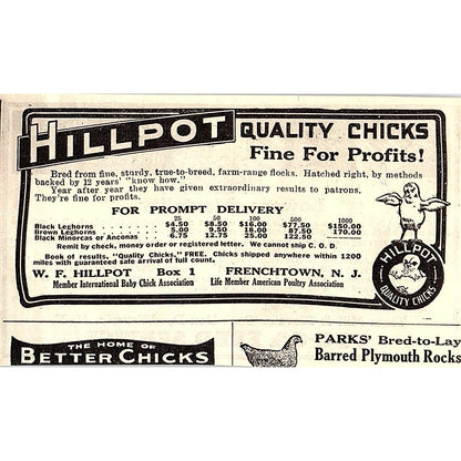 Tioga Mill & Elevator Co Chicatine Chick Feeder Waverly NY 1924 Ad AG3-M3