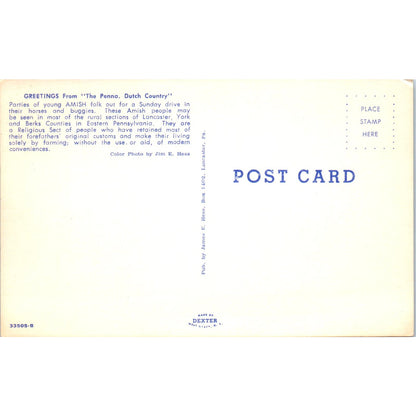 Young Amish Folk on Sunday Buggy Ride Pennsylvania Dutch Country Postcard PD8