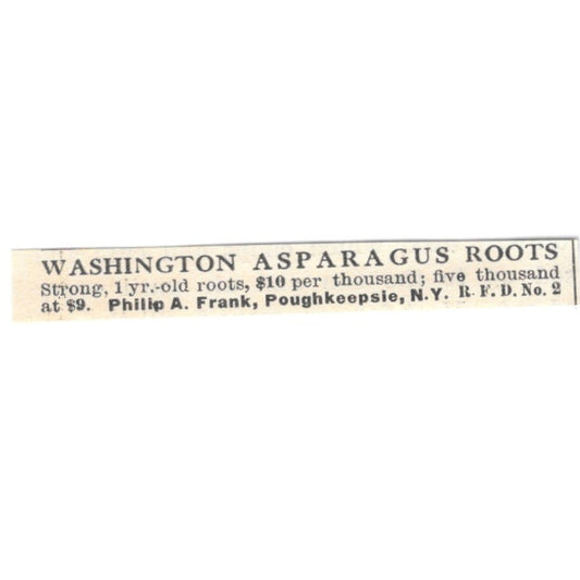 Philip A Frank Washington Asparagus Roots Poughkeepsie NY 1924 Ad AG3-S7