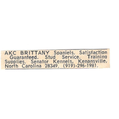 Senator Kennels Brittany Spaniels Kenansville NC 1977 Ad AF6-S5