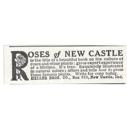 Roses of New Castle Heller Bros Co New Castle IN 1918 Magazine Ad AF1-SS3