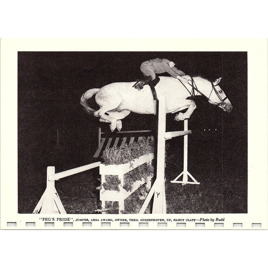 Peg's Pride Horse Theo. Gussenhoven 1954 Show Horse Calendar AG6-7