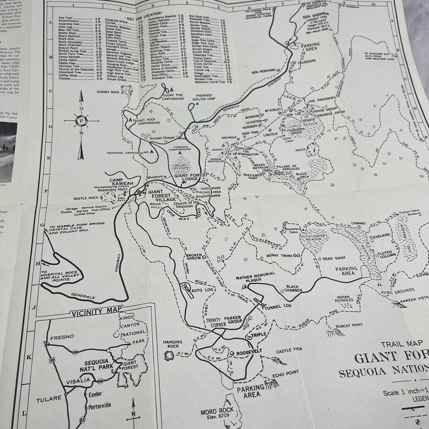 1942 Sequoia National Park Travel Brochure & Fold Out Map AE7