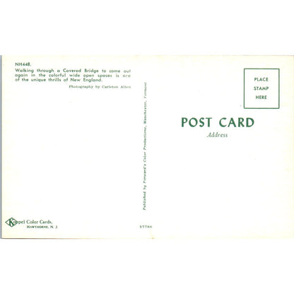 Walking Through Lattice Covered Bridge New England Vintage Postcard PD6