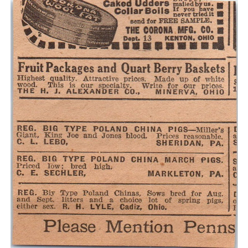 English Bulldog Partial Paralysis Article Silver Spring PA 1922 Magazine AF2-S9